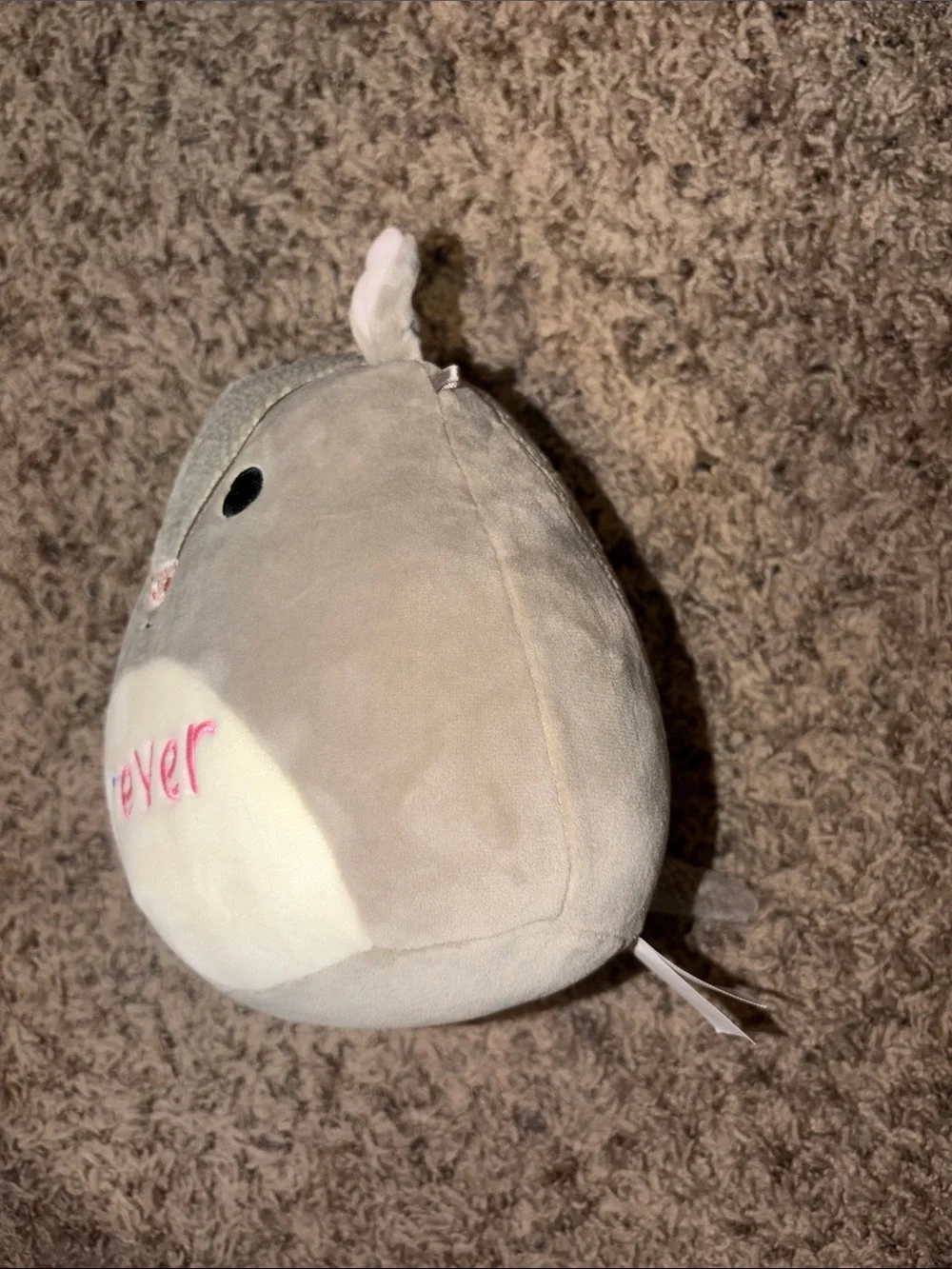Squishmallow 7